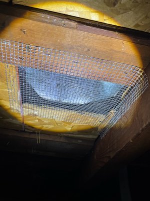 Various Rodent Jobs - This folder contains some of our smaller rodent exclusion jobs and examples of our rodent trappings. Various Rodent Jobs - This folder contains some of our smaller rodent exclusion jobs and examples of our rodent trappings.