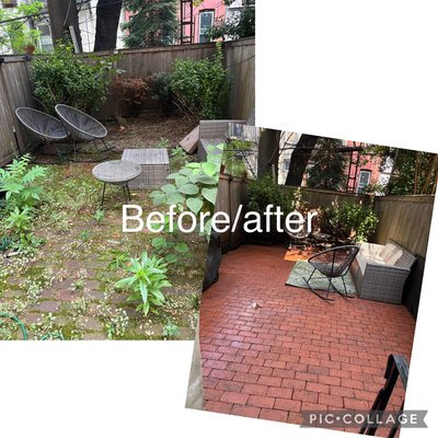 Yard transformation with Power washing - This backyard was completely covered with moss and weeds 🌱 – but we transformed it into a clean and cozy place to relax! ✨
If your backyard also needs a makeover, contact us – we’ll do the same transformation for you. Yard transformation with Power washing - This backyard was completely covered with moss and weeds 🌱 – but we transformed it into a clean and cozy place to relax! ✨
If your backyard also needs a makeover, contact us – we’ll do the same transformation for you.