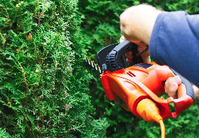 Natural Fences - Our services include: 

- Bush/Shrub trimming 

- Plantation of privacy bushes 

- Landscape decor (plants, flowers, multch, lights, rocks) ...etc.