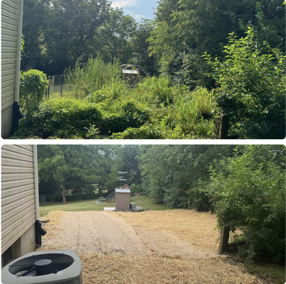 Seasonal Clean-Up Services - Our comprehensive seasonal clean-ups remove leaves, debris, and clutter from lawns and landscapes. We also offer shrub trimming and fresh mulch application to prepare properties for both spring and fall. Seasonal Clean-Up Services - Our comprehensive seasonal clean-ups remove leaves, debris, and clutter from lawns and landscapes. We also offer shrub trimming and fresh mulch application to prepare properties for both spring and fall.