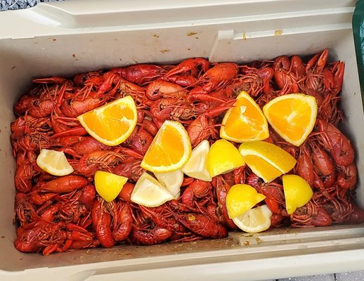 Bachelor Party Poolside - These guys had a big appetite for Creole Food. The menu was Fried Chicken, Red Beans & Sausage,  Chicken,Sausage & Shrimp Jambalaya,  Brown Sugar Green Beans,  Boiled Crawfish,  Boiled Sausage, Potatoes & Corn