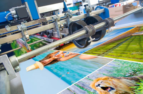 Commercial Offset Print/ Large Format - At DWJ Print we utilize a network of trade-only commercial printing facilities around the country. When it comes to print, there are a myriad of different variables that go into every job. Finish size, turn time, quantity, paper stock, make ready ink plates, color (PMS vs. CMYK), and files all contribute to the quality and content of the final product. We firmly believe that to provide the best offering to our customers, we need to use the best offset machinery available. From a small one color offset press to our large roll to roll web presses, we do it all. We provide our customers with the greatest savings at the highest quality products in the market place. Commercial Offset Print/ Large Format - At DWJ Print we utilize a network of trade-only commercial printing facilities around the country. When it comes to print, there are a myriad of different variables that go into every job. Finish size, turn time, quantity, paper stock, make ready ink plates, color (PMS vs. CMYK), and files all contribute to the quality and content of the final product. We firmly believe that to provide the best offering to our customers, we need to use the best offset machinery available. From a small one color offset press to our large roll to roll web presses, we do it all. We provide our customers with the greatest savings at the highest quality products in the market place.
