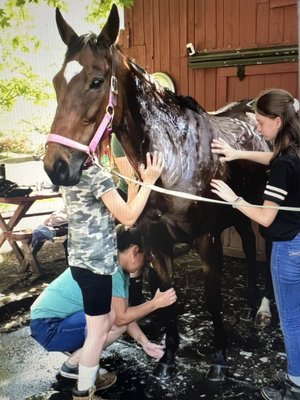Youth Enrichment Programs for Health & Wellness - USHWR offers unmounted and mounted after-school, holiday, and summer programs for youth ages 6 through 18.
