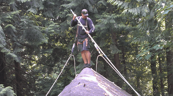 Roof Cleaning - Protect your roof for years to come. We use only top of the line products and state of the art fall protection. When uncontrolled, moss grows under the shingles causing damage to the area, which may lead to a costly roof replacement.
We start off by agitating large clumps of moss with a stiff-bristled brush, then blowing them off your roof with a leaf blower. Afterward, we check gutters and downspouts to ensure they’re clear of debris.
Next, we apply zinc sulfate to the ridges of the roof, which kills any remaining moss. The dead moss is washed away naturally by wind and rain in four to eight weeks. Roof Cleaning - Protect your roof for years to come. We use only top of the line products and state of the art fall protection. When uncontrolled, moss grows under the shingles causing damage to the area, which may lead to a costly roof replacement.
We start off by agitating large clumps of moss with a stiff-bristled brush, then blowing them off your roof with a leaf blower. Afterward, we check gutters and downspouts to ensure they’re clear of debris.
Next, we apply zinc sulfate to the ridges of the roof, which kills any remaining moss. The dead moss is washed away naturally by wind and rain in four to eight weeks.
