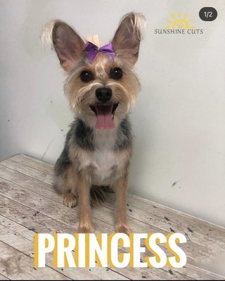 Pet grooming and Sitting - All pets get the SWAG TREATMENT!! No matter the breed, age, sex, weight or temperament we will get you taken care of!! Pet grooming and Sitting - All pets get the SWAG TREATMENT!! No matter the breed, age, sex, weight or temperament we will get you taken care of!!