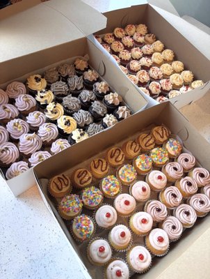 Cupcakes & Cake Pops Creations - Explore our playful and delicious assortment of cupcakes and cake pops! From elegant designs to fun themes, each treat is handcrafted for parties, gifts, and special occasions. See how we turn classic favorites into bite-sized delights.