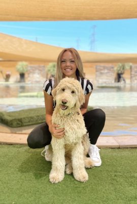 Professional Dog Training - Free training evaluations with our expert trainers at Always Unleashed. We offer training programs starting with puppy obedience all the way to advanced obedience and service dog training. Whatever your training goals are, we’re here to help. 480-767-7046 ext. 2