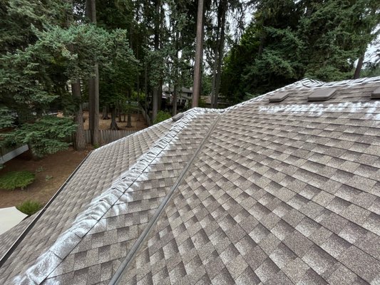 Gutter Cleaning in West Linn - he roof was covered with moss, pine needles, and leaves. We removed the debris with a blower, carefully brushed away the moss by hand, applied a moss treatment to prevent future growth, then cleaned out the gutters. We also cleared and hauled away any debris that fell to the ground. Now water can flow properly from the roof into the gutters.