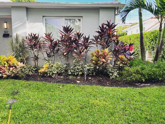 Landscape install - On this job client wanted a new fresh landscape. We removed unwanted shrubs. Replaced with American agaves and filled with Mexican beach pebble. Results in a simple and clean new landscape. Landscape install - On this job client wanted a new fresh landscape. We removed unwanted shrubs. Replaced with American agaves and filled with Mexican beach pebble. Results in a simple and clean new landscape.