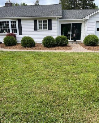 Garden bed management/ mulch - This is a garden bed that was let go for many years vealey landscaping was hire for remove the old fabric/ clean everything up and remove some cactus then apply mulch and weed pre emergent Garden bed management/ mulch - This is a garden bed that was let go for many years vealey landscaping was hire for remove the old fabric/ clean everything up and remove some cactus then apply mulch and weed pre emergent
