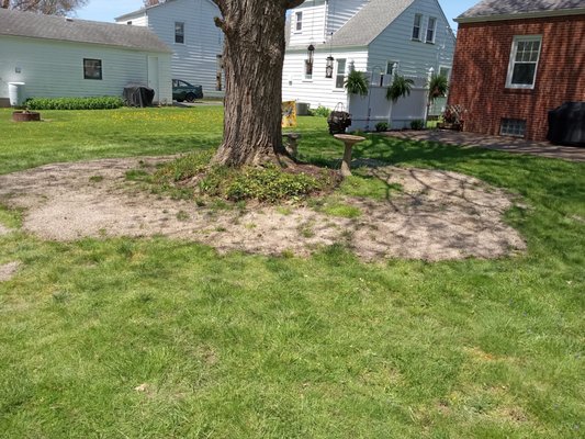 Level and re-seed - This was a simple lawn level and re-seed project for a customer using top soil, sun and shade seed mix topped with Perry mulch. Level and re-seed - This was a simple lawn level and re-seed project for a customer using top soil, sun and shade seed mix topped with Perry mulch.