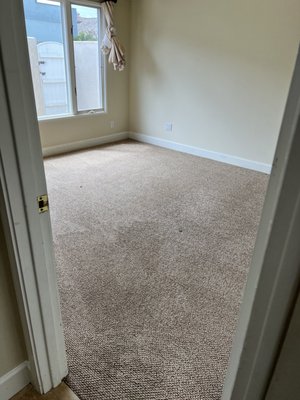 Carpet Cleaning Project - Professional carpet care for homes and businesses. Restoring carpets of all types to pristine condition with expert cleaning and attention to detail. ✨🧽