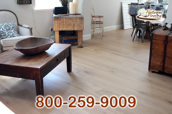 Pecara European Oak Wood Floor - Pecara European Oak Wood Floor Pecara European Oak Wood Floor - Pecara European Oak Wood Floor