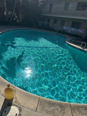 Some of our proudest work! - A collection of pristine pools in which we take great pride in! Ensuring our customers are satisfied and happy with our services.
Contact us now for a free quote! Some of our proudest work! - A collection of pristine pools in which we take great pride in! Ensuring our customers are satisfied and happy with our services.
Contact us now for a free quote!
