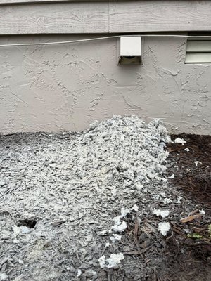 Dryer Vent Cleaning - Are you experiencing performance issues with your dryer? Do you have disconnected or sagging dryer vent? At Holy Smokes, a dryer vent cleaning involves a rotary sweep with HEPA-filtered lint removal to keep your drying safe and efficient. Dryer Vent Cleaning - Are you experiencing performance issues with your dryer? Do you have disconnected or sagging dryer vent? At Holy Smokes, a dryer vent cleaning involves a rotary sweep with HEPA-filtered lint removal to keep your drying safe and efficient.