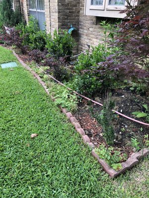 Cleaning flower bed - Cleaning of flower bed! Re mulched and planted a few extra plants something simple! Cleaning flower bed - Cleaning of flower bed! Re mulched and planted a few extra plants something simple!