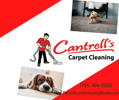 Expert Carpet Cleaning - We specialize in carpet cleaning in residential and commercial