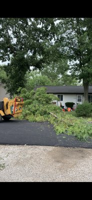 TREE REMOVALS - This Tree Removal was taken care by us! we take all necessary precautions to protect the surrounding areas and ensure a successful removal! TREE REMOVALS - This Tree Removal was taken care by us! we take all necessary precautions to protect the surrounding areas and ensure a successful removal!
