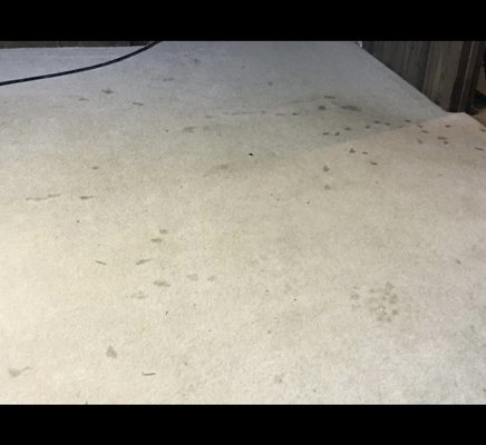 Carpet Restoration - This carpet had seen better days, but I'm happy to report it's been given a new lease on life! Our restoration process is meticulous, and seeing the transformation is always rewarding. Your carpets are an investment, and we take pride in helping you get the most out of them.