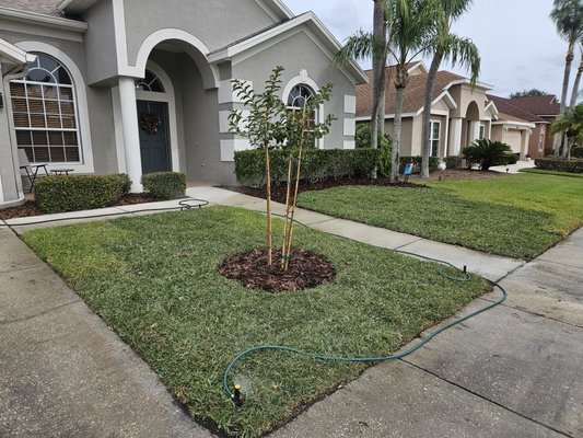 landscape design and installation - we were able to give our customer a whole new look for the front of their residence landscape design and installation - we were able to give our customer a whole new look for the front of their residence