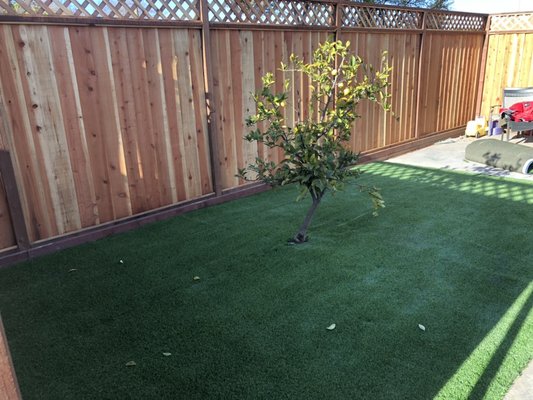 Paver installation in back yard and artificial grass. - This backyard use to have a deck that we removed and install pavers make new step, and installa beautiful artificial grass. Now owners and kids can enjoy their new yard. Paver installation in back yard and artificial grass. - This backyard use to have a deck that we removed and install pavers make new step, and installa beautiful artificial grass. Now owners and kids can enjoy their new yard.