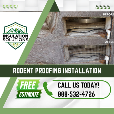 Rodent Proofing - Discover a rodent-free haven with our meticulous rodent-proofing service. Our skilled experts conduct a comprehensive assessment to identify and seal every potential entry point, from tiny gaps to hidden openings. Through a personalized and ethical approach, we ensure a pest-free environment for the long term, giving you the peace of mind you deserve. Say goodbye to rodents and hello to a protected space with our proven rodent-proofing solution. Rodent Proofing - Discover a rodent-free haven with our meticulous rodent-proofing service. Our skilled experts conduct a comprehensive assessment to identify and seal every potential entry point, from tiny gaps to hidden openings. Through a personalized and ethical approach, we ensure a pest-free environment for the long term, giving you the peace of mind you deserve. Say goodbye to rodents and hello to a protected space with our proven rodent-proofing solution.