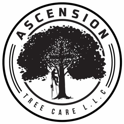 Ascension tree - Tree trimming and removal Ascension tree - Tree trimming and removal
