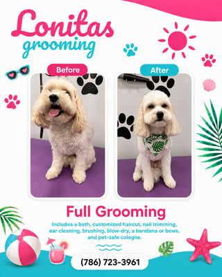Grooming Service - These are our professional grooming services. We provide mobile grooming at your location, so you don't have to travel anywhere. Everything is performed inside our fully equipped grooming vans, providing a safe, convenient, and stress-free experience for both you and your pet. Grooming Service - These are our professional grooming services. We provide mobile grooming at your location, so you don't have to travel anywhere. Everything is performed inside our fully equipped grooming vans, providing a safe, convenient, and stress-free experience for both you and your pet.