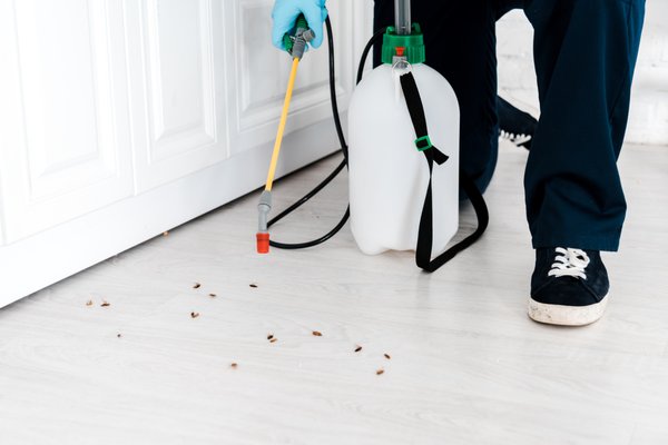 Home protection - We have you covered inside and outside your home! Call us today to help protect you and your home from damaging pests.