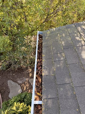 Gutter Cleaning - Don't let clogged gutters turn into a multi-thousand dollar repair. When water can’t flow freely, it backs up into your roof, siding, and foundation.
Our professional gutter service includes:
Full Debris Removal: Hand-cleaned to ensure every leaf and twig is gone.
Downspout Testing: We flush every line to ensure water is moving away from your home.
Safety First: We use stabilized ladders that won't dent or scratch your gutters.
No Mess Left Behind: We bag all debris and take it with us—your lawn stays spotless.
Save $20 when you bundle with a Window Cleaning package! Gutter Cleaning - Don't let clogged gutters turn into a multi-thousand dollar repair. When water can’t flow freely, it backs up into your roof, siding, and foundation.
Our professional gutter service includes:
Full Debris Removal: Hand-cleaned to ensure every leaf and twig is gone.
Downspout Testing: We flush every line to ensure water is moving away from your home.
Safety First: We use stabilized ladders that won't dent or scratch your gutters.
No Mess Left Behind: We bag all debris and take it with us—your lawn stays spotless.
Save $20 when you bundle with a Window Cleaning package!