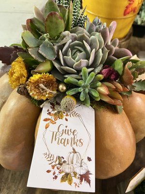 Thanksgiving succulent centerpieces - We are ready for Thanksgiving with some great centerpieces. Thanksgiving succulent centerpieces - We are ready for Thanksgiving with some great centerpieces.