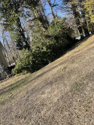 Fallen tree removal from snow January 2022. - Client had a 60 foot tree fall during snow fall in January. The stump was beyond rotted! Within a couple hours the client was beyond happy to not have this tree in the middle of the yard! Fallen tree removal from snow January 2022. - Client had a 60 foot tree fall during snow fall in January. The stump was beyond rotted! Within a couple hours the client was beyond happy to not have this tree in the middle of the yard!