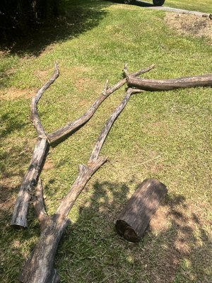 Hedge trimming and tree removal - This job was in Adger Alabama a customer had a fallen tree laying in there yard and couldn't cut there grass so we cut it up and hauled it off along with shaping up some hedges he had in the front yard. He also has hedges lining the whole property that he wanted shaped up so we got them nice for him Hedge trimming and tree removal - This job was in Adger Alabama a customer had a fallen tree laying in there yard and couldn't cut there grass so we cut it up and hauled it off along with shaping up some hedges he had in the front yard. He also has hedges lining the whole property that he wanted shaped up so we got them nice for him