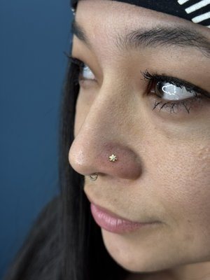 Paired Nostril Piercings - This project was paired nostril piercings with 14k Gold Swarovski Bezel Threadless Flowers on Titanium Threadless bases!