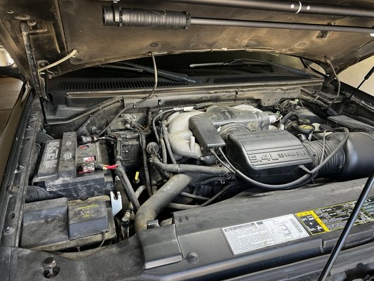 Engine detail - We clean every engine only using steam, this ensures none of the sensitive and very important components do not get wet with high pressure water.