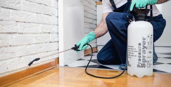 On the Job Site - Serving Dayton, OH, and surrounding areas, Excalibur Termite & Pest Control specializes in insect control and wood-destroying organisms services. Quick response time. Competitive pricing. Free estimates. Contact us today to schedule service.
