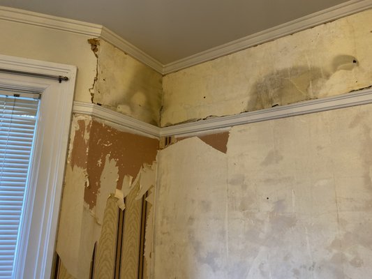 1880’s New Westminster Restoration - As you can see in the pictures this old beauty needed a lot of love and care to get it back to looking like it did in its glory days. The walls were extremely damaged and falling apart when we came in. They’re solid like a rock now and the place looks like glass. :)