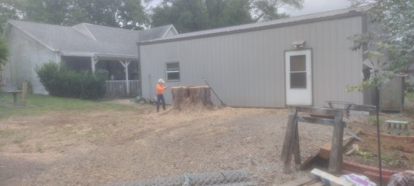 double silver maple tree job in Atchison - this was one of the most challenging trees this year just because 90% of the tree was over the top of the garage and only had a very small landing area to place limbs and debris down because of power lines
