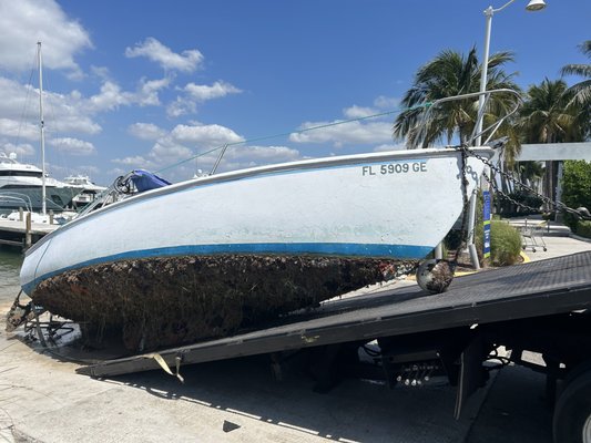 We Tow Boats - Need your Sailboat removed? Call or text us at 786-226-7670 today to remove your boat!
We specialize tow and remove sailboats and will help you where other companies can now. We are available 24/7 call now! We Tow Boats - Need your Sailboat removed? Call or text us at 786-226-7670 today to remove your boat!
We specialize tow and remove sailboats and will help you where other companies can now. We are available 24/7 call now!