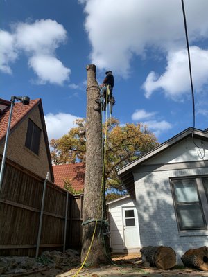 Tree Removals - Trees are an asset to your landscape that require maintenance.  However, they can also be a hazard to homes and surrounding areas when they become diseased or begin to rot and decay.  Removals are necessary if the condition of the tree cannot be remedied.  Add in extreme weather and you may have a serious issue.  Give us a call to diagnose any potentially dangerous trees and we will discuss removal options!  We have all the right equipment to take down any tree safely and promptly, making sure to protect your property.
