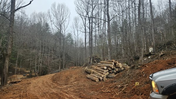 Hoods Creek - Clearing land for logging and making a path to make a road for a dump site. Hoods Creek - Clearing land for logging and making a path to make a road for a dump site.