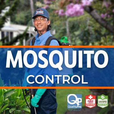 Mosquito Control - Thrasher Pest Control is the ONLY company in San Diego that offers combined QualityPro GreenPro and Public Health Certified mosquito control. It's kid, pet, and pollinator friendly, and EFFECTIVE in controlling the mosquitoes of most public health concern.
Twenty-eight species of mosquitoes are in San Diego County, with 17 common, and 9 capable of spreading disease including the invasive Aedes mosquito. Many aggressive biters breed in only a few tablespoons of water, an amount so small it is impossible to eliminate all mosquito breeding sites on an average San Diego property. We use mosquitoes' own habits against them and Mosquito Control - Thrasher Pest Control is the ONLY company in San Diego that offers combined QualityPro GreenPro and Public Health Certified mosquito control. It's kid, pet, and pollinator friendly, and EFFECTIVE in controlling the mosquitoes of most public health concern.
Twenty-eight species of mosquitoes are in San Diego County, with 17 common, and 9 capable of spreading disease including the invasive Aedes mosquito. Many aggressive biters breed in only a few tablespoons of water, an amount so small it is impossible to eliminate all mosquito breeding sites on an average San Diego property. We use mosquitoes' own habits against them and