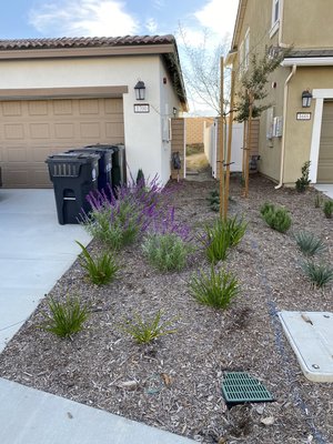 Concrete Design - In this home we created the landscape design and poured concrete in front and back yard. Customer was satisfied. Concrete Design - In this home we created the landscape design and poured concrete in front and back yard. Customer was satisfied.