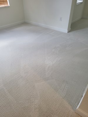 Carpet Cleaning - These photos are the results of a job we did for a customer who was moving in. We take pride in making their new space clean, sanitized and looking new.