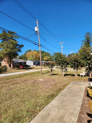 Before and After tree removal - Before and After tree removal. Call or message for a FREE estimate today!! Before and After tree removal - Before and After tree removal. Call or message for a FREE estimate today!!