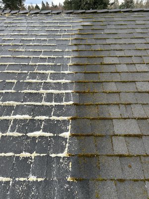 Three year moss, free guarantee roof treatment. - Our treatments come with a three-year moss, free guarantee! We follow all guidelines laid out by ARMA. To Maintain your roof warranty we also clean Cedars shake,torch down, TPO and tile roofs. Three year moss, free guarantee roof treatment. - Our treatments come with a three-year moss, free guarantee! We follow all guidelines laid out by ARMA. To Maintain your roof warranty we also clean Cedars shake,torch down, TPO and tile roofs.
