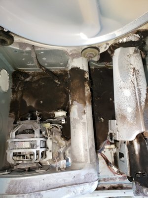 Dryer Repair - Dryers can be potential fire hazards if not maintained and repaired correctly. Our technicians have the necessary skills and tools to identify any potential safety risks and address them promptly, giving you peace of mind. Don’t let a malfunctioning dryer disrupt your daily routine. Trust the professionals at LMX Appliance Repair for all your dryer repair needs in California. Contact us today to schedule an appointment and experience the difference our incredible dryer repair service can make. Call today 626-977-9131 Dryer Repair - Dryers can be potential fire hazards if not maintained and repaired correctly. Our technicians have the necessary skills and tools to identify any potential safety risks and address them promptly, giving you peace of mind. Don’t let a malfunctioning dryer disrupt your daily routine. Trust the professionals at LMX Appliance Repair for all your dryer repair needs in California. Contact us today to schedule an appointment and experience the difference our incredible dryer repair service can make. Call today 626-977-9131