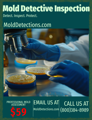 Non-invasive Mold Inspections in Los Angeles - Worried about mold in your home? Mold Detective Inspection offers full non-invasive visual mold inspections starting at only $59. Our licensed inspectors provide fast, reliable, and thorough assessments to identify mold issues before they become health hazards. Non-invasive Mold Inspections in Los Angeles - Worried about mold in your home? Mold Detective Inspection offers full non-invasive visual mold inspections starting at only $59. Our licensed inspectors provide fast, reliable, and thorough assessments to identify mold issues before they become health hazards.