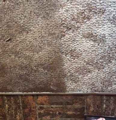 Extremely soiled carpet - This carpet was very old and heavily soiled. But it was no match for our advanced cleaning system! Using our deep meticulous and take our time approach, we were able to revive it to a clean and healthy carpet again. Extremely soiled carpet - This carpet was very old and heavily soiled. But it was no match for our advanced cleaning system! Using our deep meticulous and take our time approach, we were able to revive it to a clean and healthy carpet again.