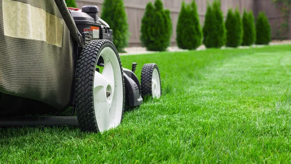Lawn Care - Call us today for all of your lawn service needs. Lawn Care - Call us today for all of your lawn service needs.